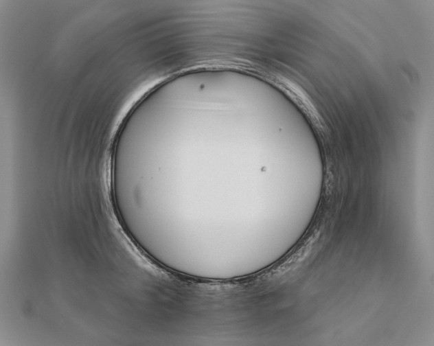 X0000111670804200907311157