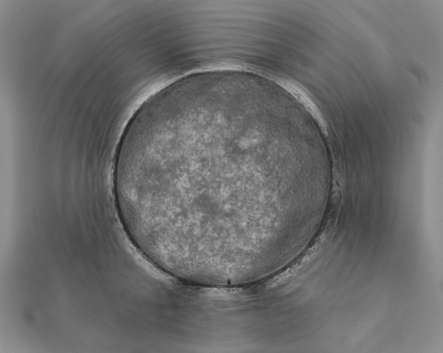 X0000111670805200907311157