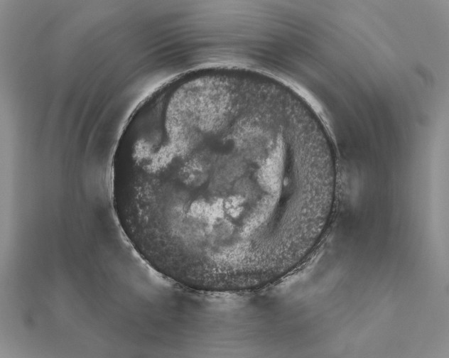 X0000111670807200907311157