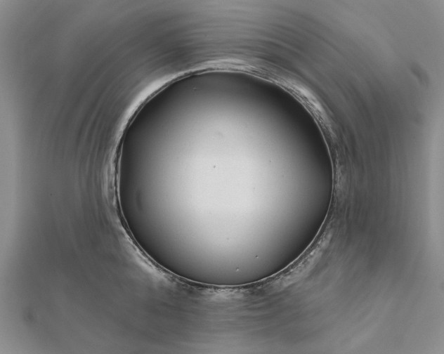 X0000111670808200907311157