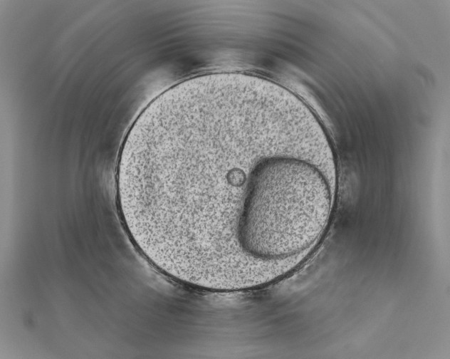 X0000111670810200907311157