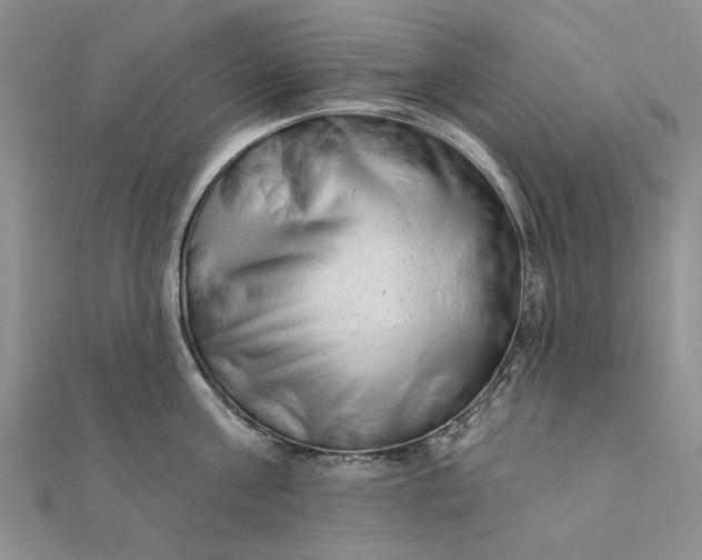 X0000111670811200907311157