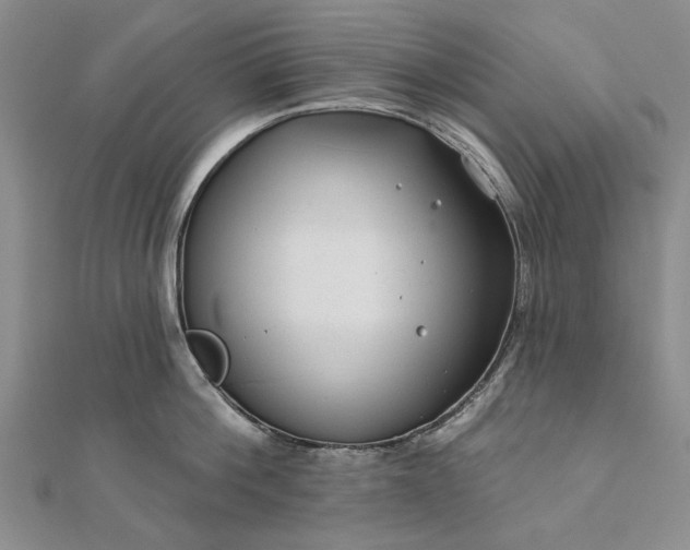 X0000111670812200907311157