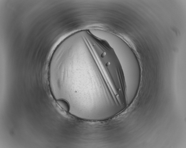 X0000111670816200907311157