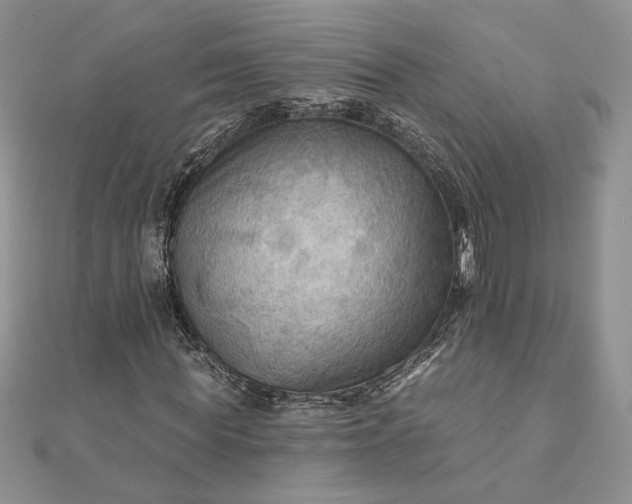 X0000111670819200907311156