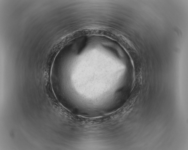 X0000111670821200907311156