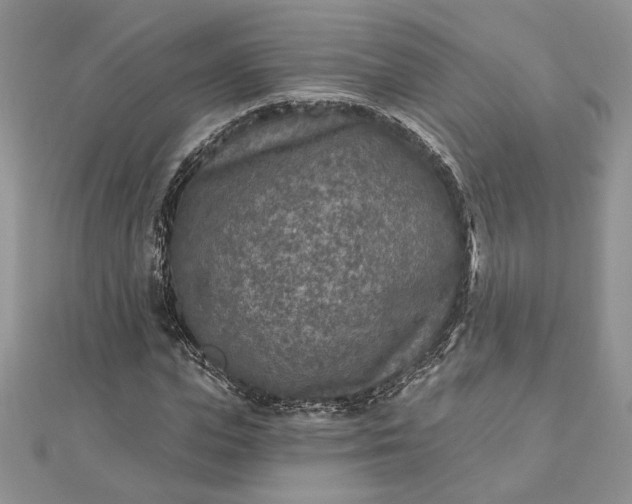 X0000111670823200907311156