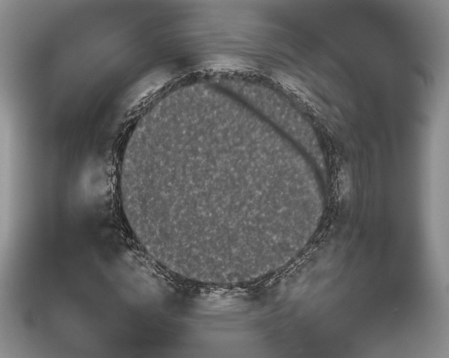 X0000111670824200907311156