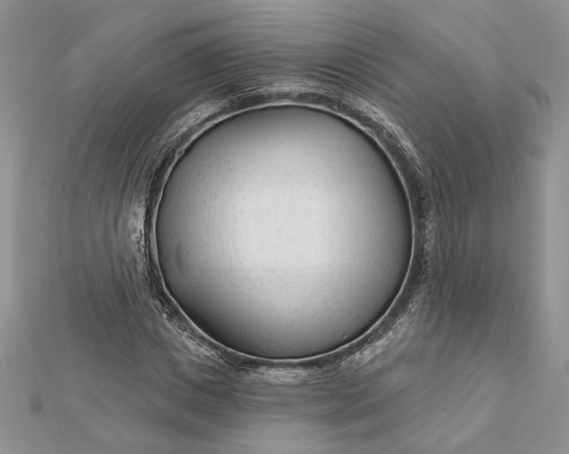 X0000111670825200907311156