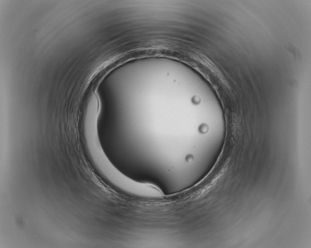 X0000111670826200907311156