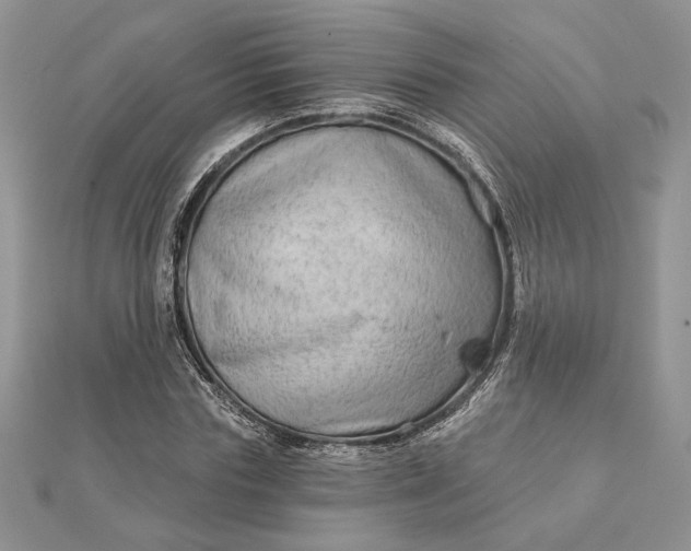 X0000111670827200907311156