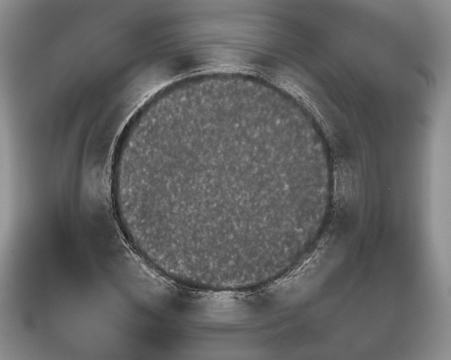 X0000111670828200907311156