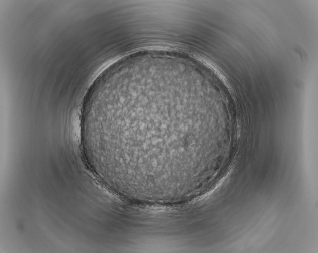 X0000111670829200907311156