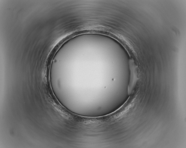 X0000111670830200907311157