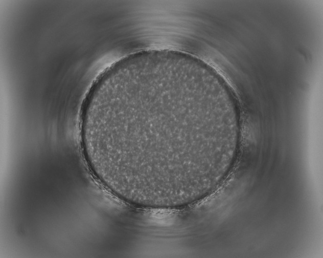 X0000111670832200907311157