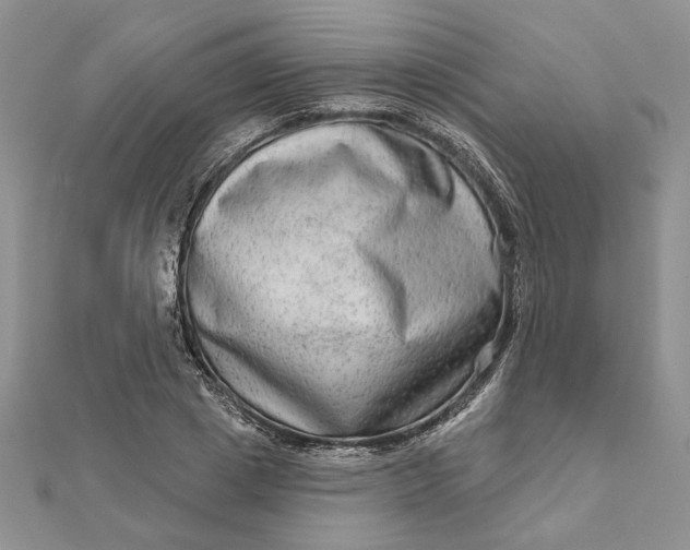 X0000111670833200907311157