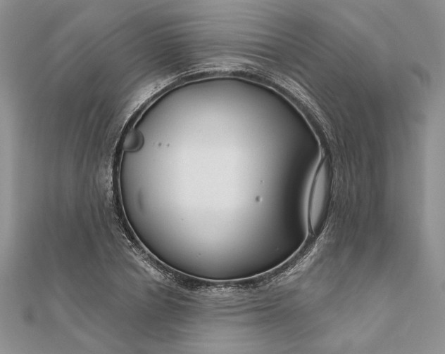 X0000111670834200907311157