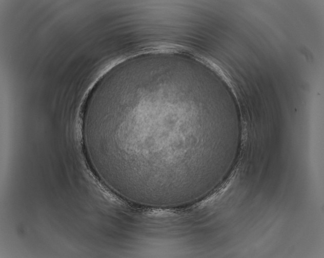 X0000111670835200907311157