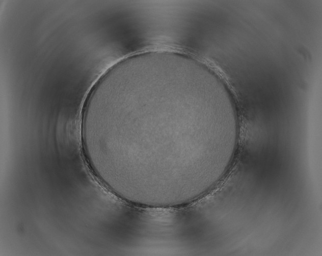 X0000111670836200907311157