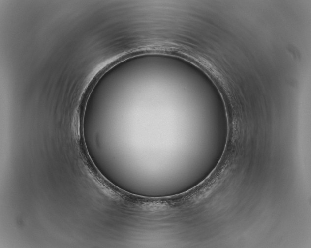 X0000111670838200907311157