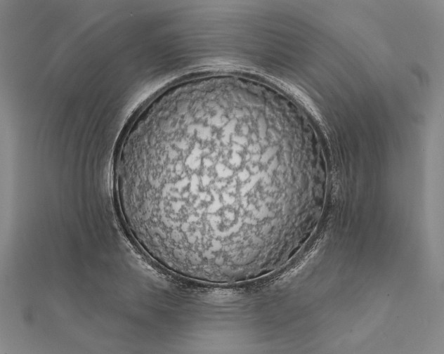 X0000111670839200907311157