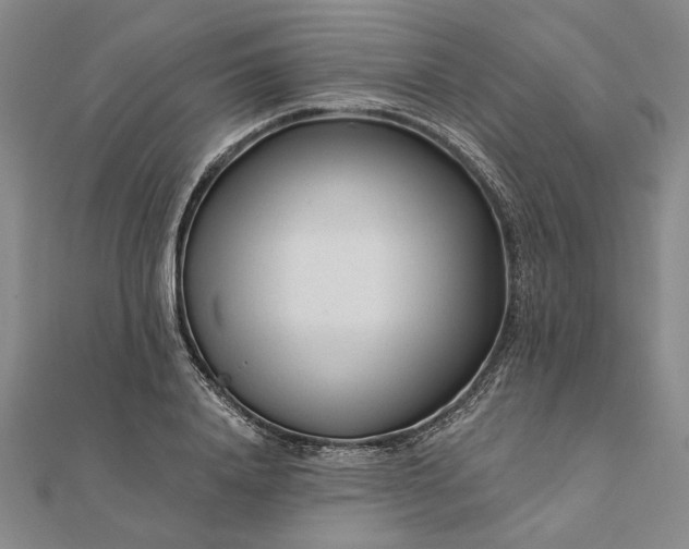 X0000111670840200907311157