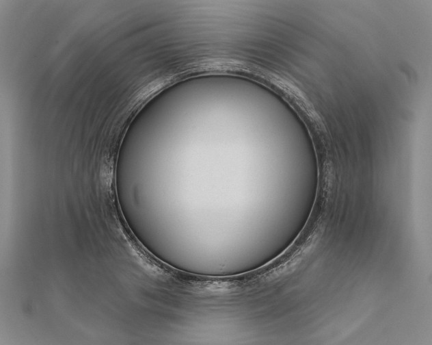 X0000111670841200907311157