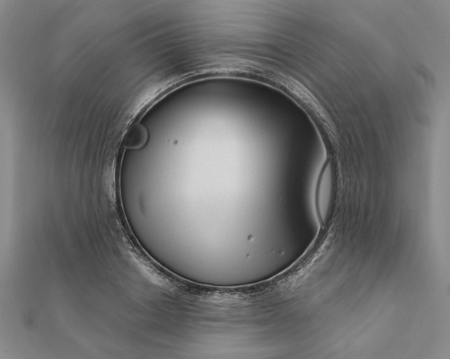 X0000111670842200907311157