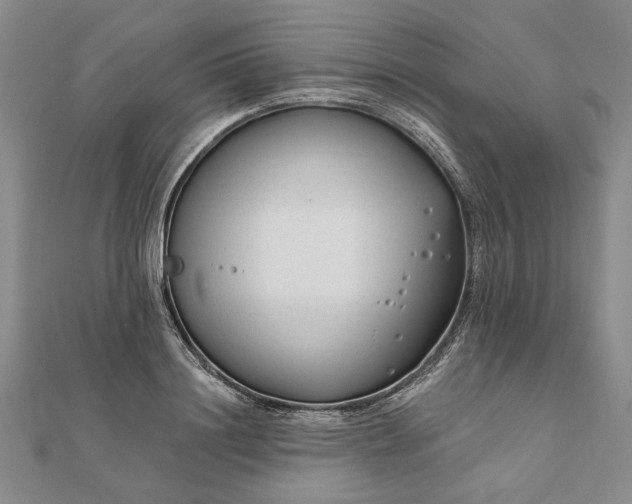 X0000111670844200907311157