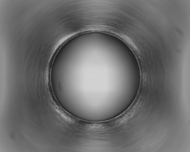 X0000111670846200907311157