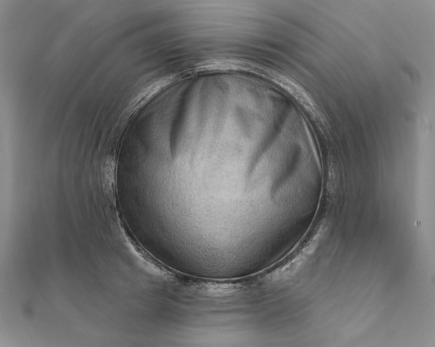 X0000111670849200907311157