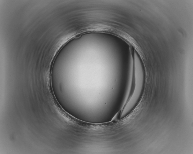 X0000111670850200907311157