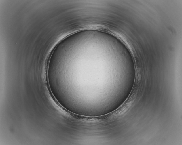 X0000111670851200907311157