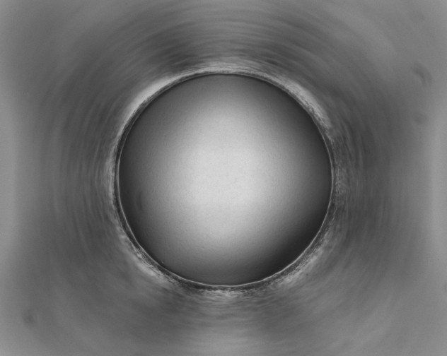 X0000111670854200907311157