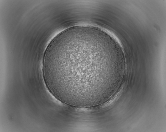 X0000111670855200907311157