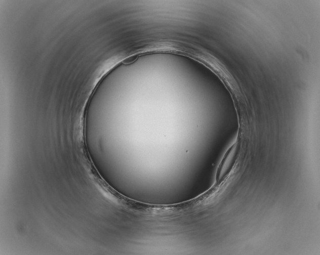 X0000111670858200907311157