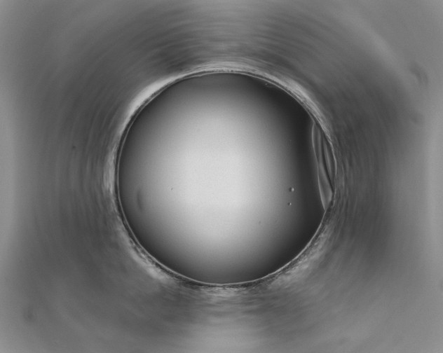 X0000111670862200907311157