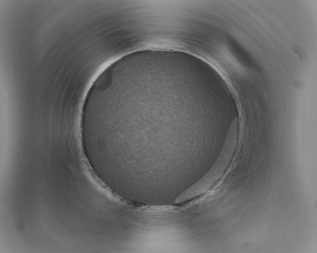 X0000111670864200907311157