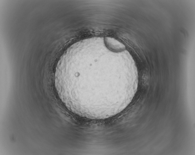 X0000111670865200907311156