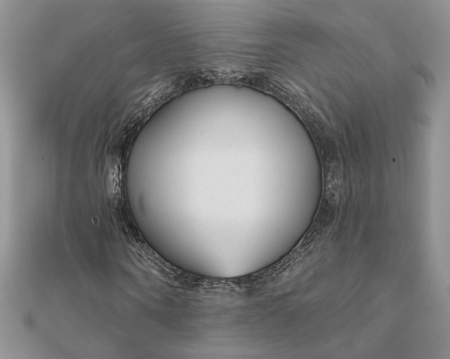 X0000111670866200907311156