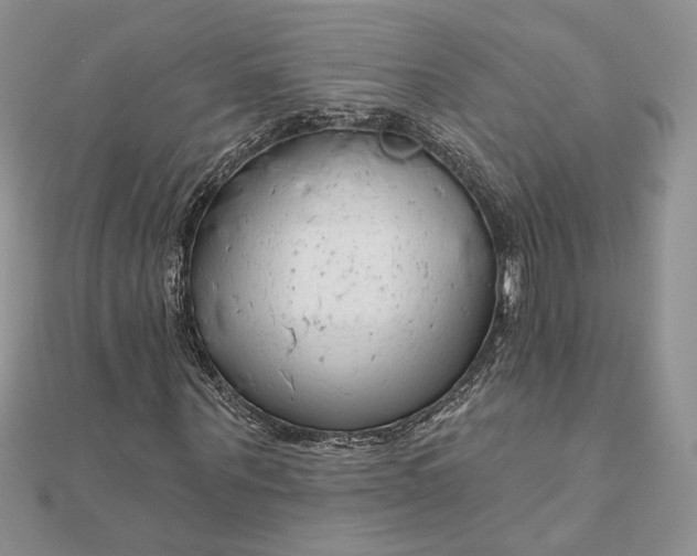 X0000111670867200907311156