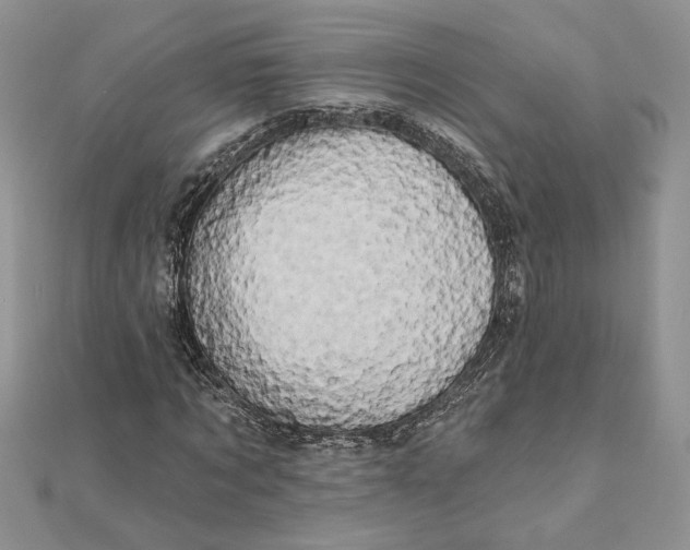 X0000111670869200907311156