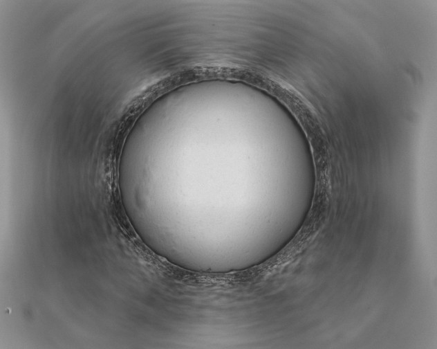 X0000111670870200907311156