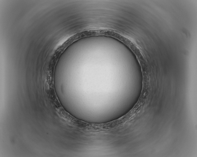 X0000111670871200907311156