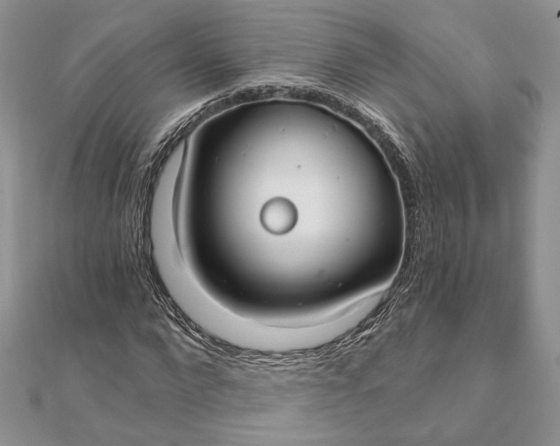 X0000111670872200907311156