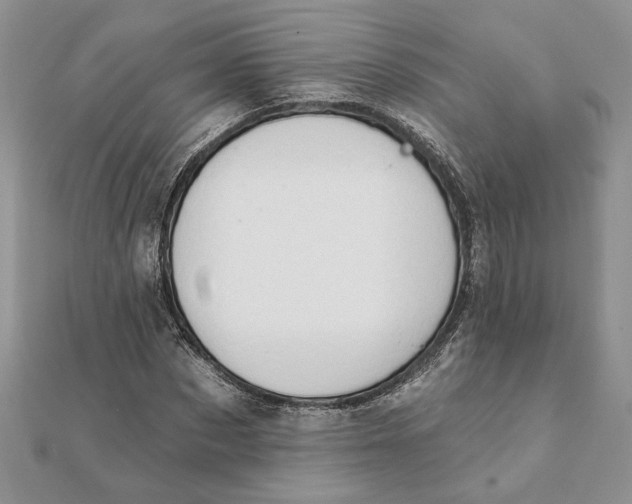 X0000111670873200907311156