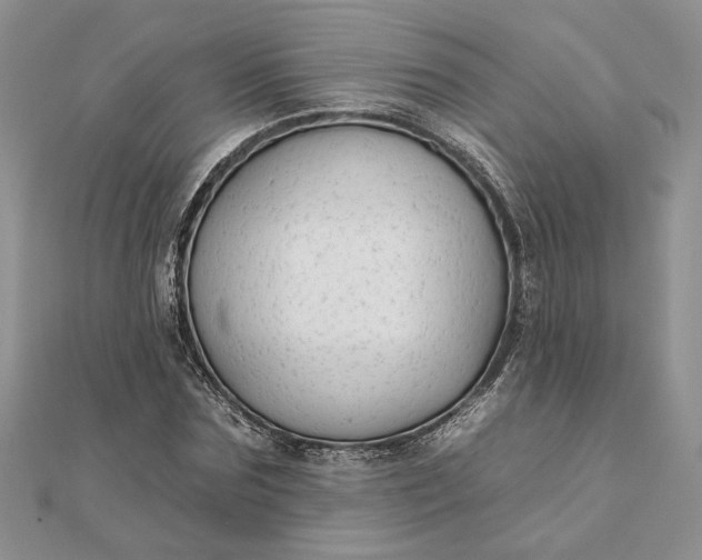 X0000111670875200907311156