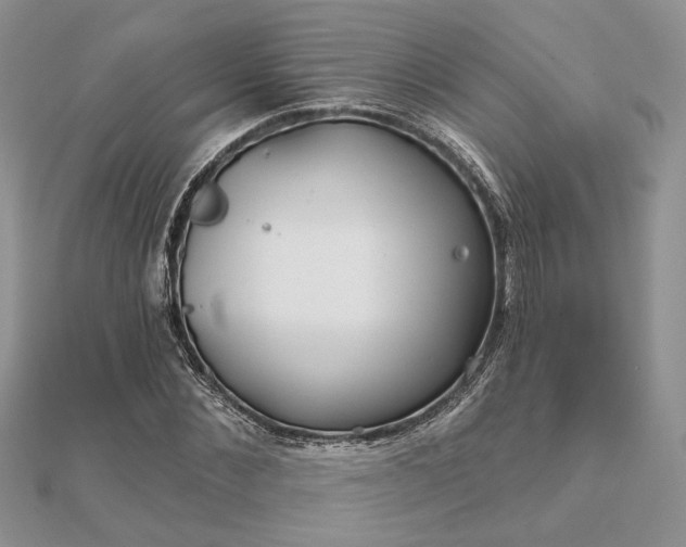 X0000111670876200907311156