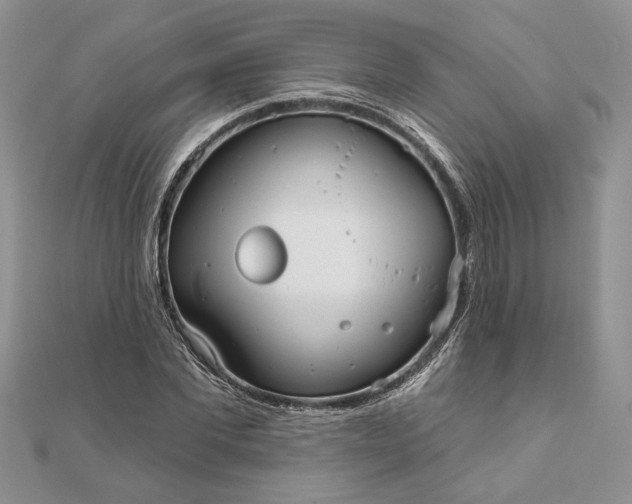 X0000111670877200907311156