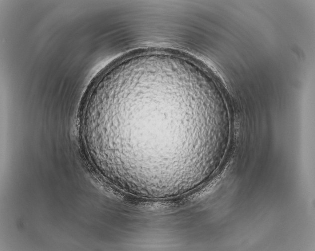 X0000111670879200907311156